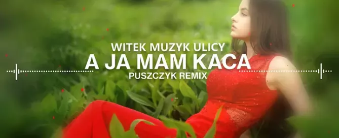 Witek Muzyk Ulicy A Ja Mam Kaca Puszczyk Remix
