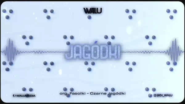 DJ WALU JAGODKI 2K23 org. Fasolki Czarne Jagodki