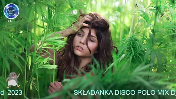 SKLADANKA DISCO POLO MIX Dj Luki Listopad 2023