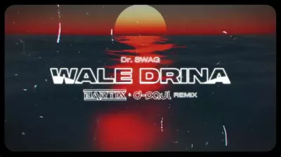 Dr. SWAG - WALE DRINA (BARTIX & D-Paul REMIX) 2024