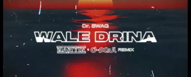 Dr. SWAG - WALE DRINA (BARTIX & D-Paul REMIX) 2024