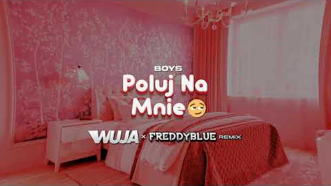 BOYS - Poluj Na Mnie ( WujaProdukcja x FreddyBlue Remix) 2024