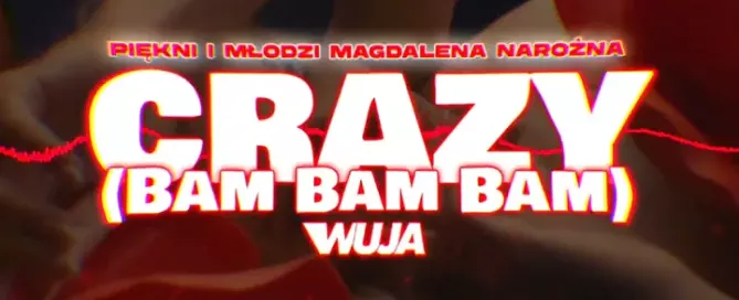 PIĘKNI I MŁODZI Magdalena Narożna - Crazy (Bam Bam Bam) (Wuja Remix)