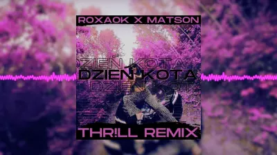 ROXAOK x MATSON - DZIEŃ KOTA (THR!LL REMIX) mp3