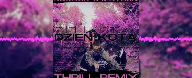 ROXAOK x MATSON - DZIEŃ KOTA (THR!LL REMIX) mp3