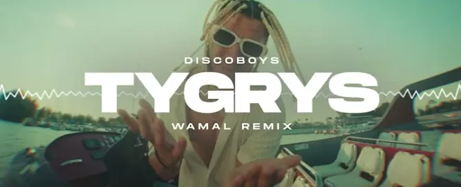 DiscoBoys - Tygrys (WAMAL REMIX) mp3