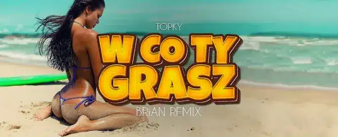 Topky - W co Ty grasz (BRiAN Remix) mp3