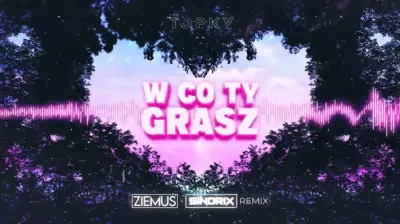 Topky - W co Ty grasz (ZIEMUŚ x SINDRIX REMIX) mp3