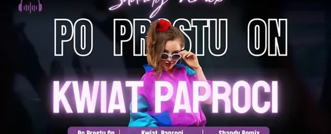 PO PROSTU ON - Kwiat Paproci (Shandy Remix) mp3