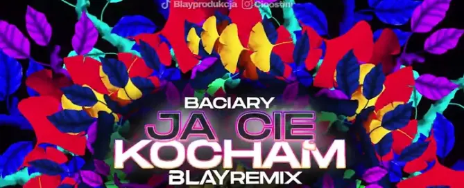 Baciary Ja Cie Kocham BLAY REMIX