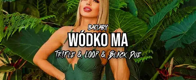 Baciary - Wódko Ma (Tr!Fle & LOOP & Black Due REMIX) mp3